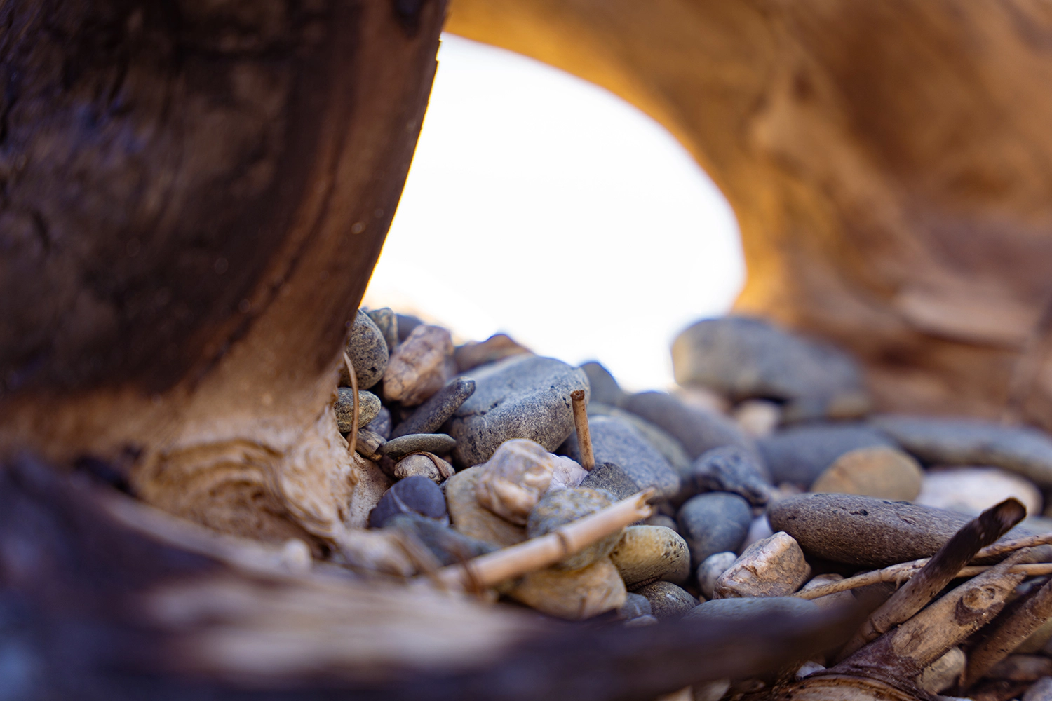海岸の石 / Stones and driftwood on the beach