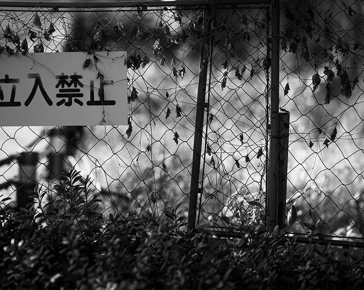 立入禁止の看板