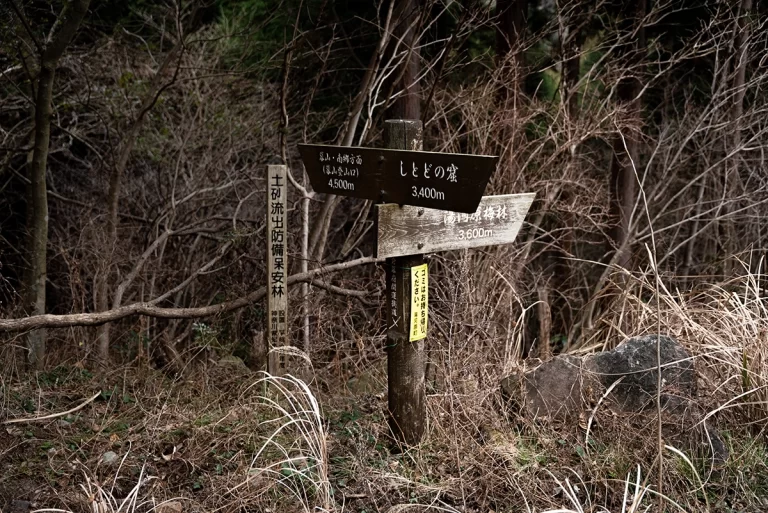 山の中にあるポツンとある標識