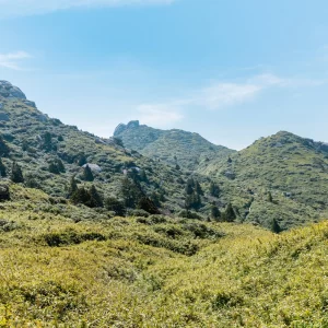 緑が茂る山々＜L＞