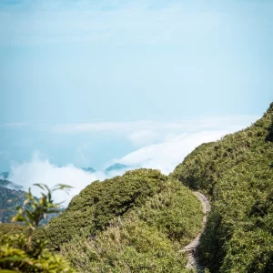 雲の中に入る登山道＜L＞