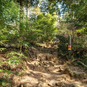 筑波山の登り始め＜L＞