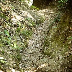 えぐれた登山道＜L＞