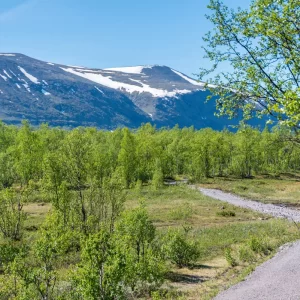 クングスレーデン序盤の散策路＜L＞