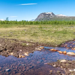 クングスレーデンの細流<L>