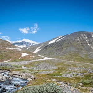 聳え立つケブネカイセ＜L＞