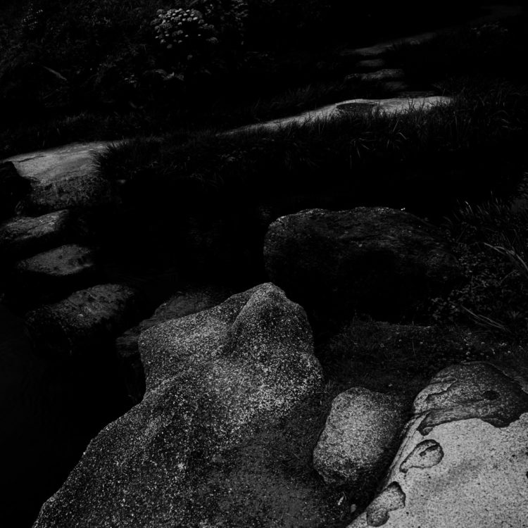 庭園の飛び石 / Stepping stones in a quiet garden