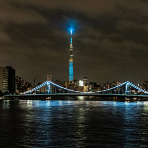 スカイツリーと清洲橋２＜L＞