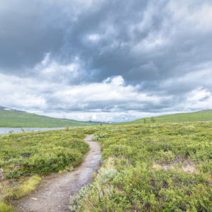 雲とトレッキングルート＜L＞