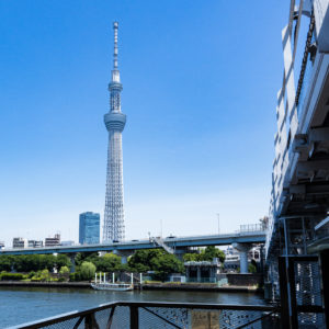 すみだリバーウォークからのスカイツリー＜L＞