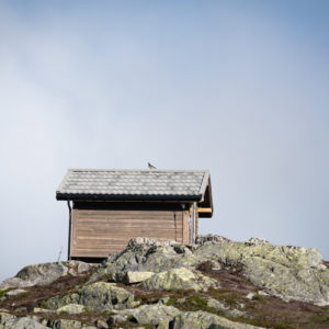 避難小屋とライチョウ＜L＞