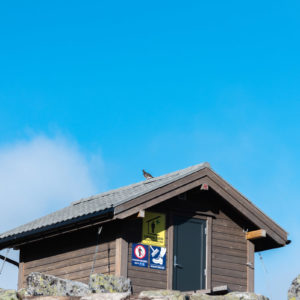 避難小屋とライチョウ２＜L＞