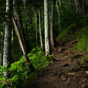 羅臼岳の中へ＜L＞