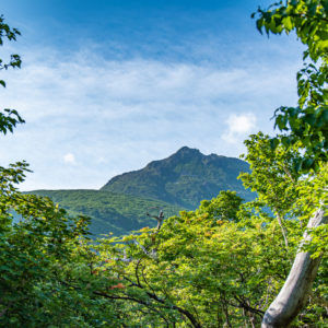 羅臼岳を望む＜L＞