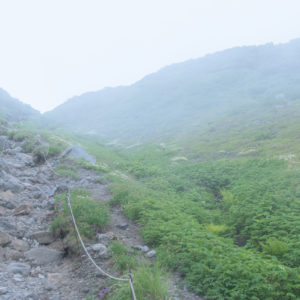 雲の中から見上げる羅臼平＜L＞