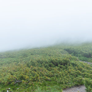 雲が通り抜ける羅臼平＜L＞