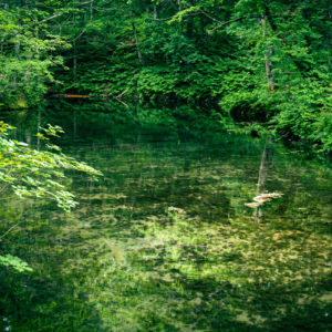 透き通った神の子池＜L＞