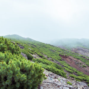 雌阿寒岳の山頂へ＜L＞