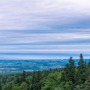 雲と海が交わる朝＜L＞