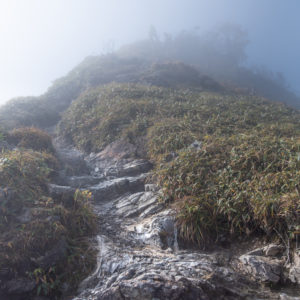 雲の上へ＜Ｌ＞