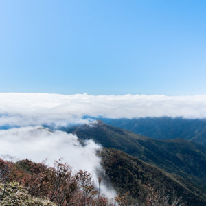 雲海の端っこ<L>