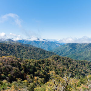 のどかな景色と跳ねる雲＜L＞