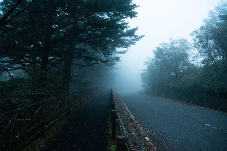 霧がかった道