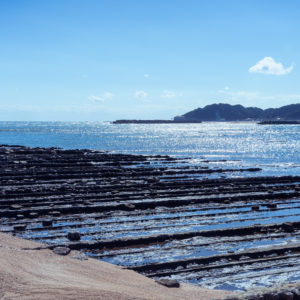 鬼の洗濯板＜L＞