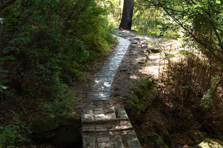 登山口付近に戻る