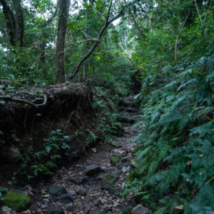 えぐれた登山道＜L＞