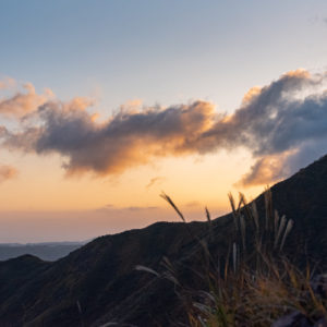 ススキと朝焼け＜L＞
