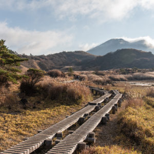 雨ヶ池の木道＜L＞