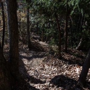 くねくね下る登山道<L>