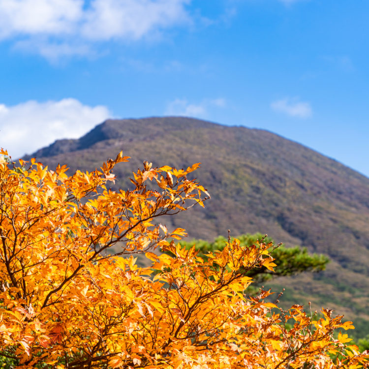 紅葉と韓国岳