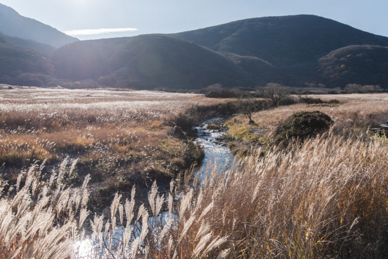 坊がつると鳴子川