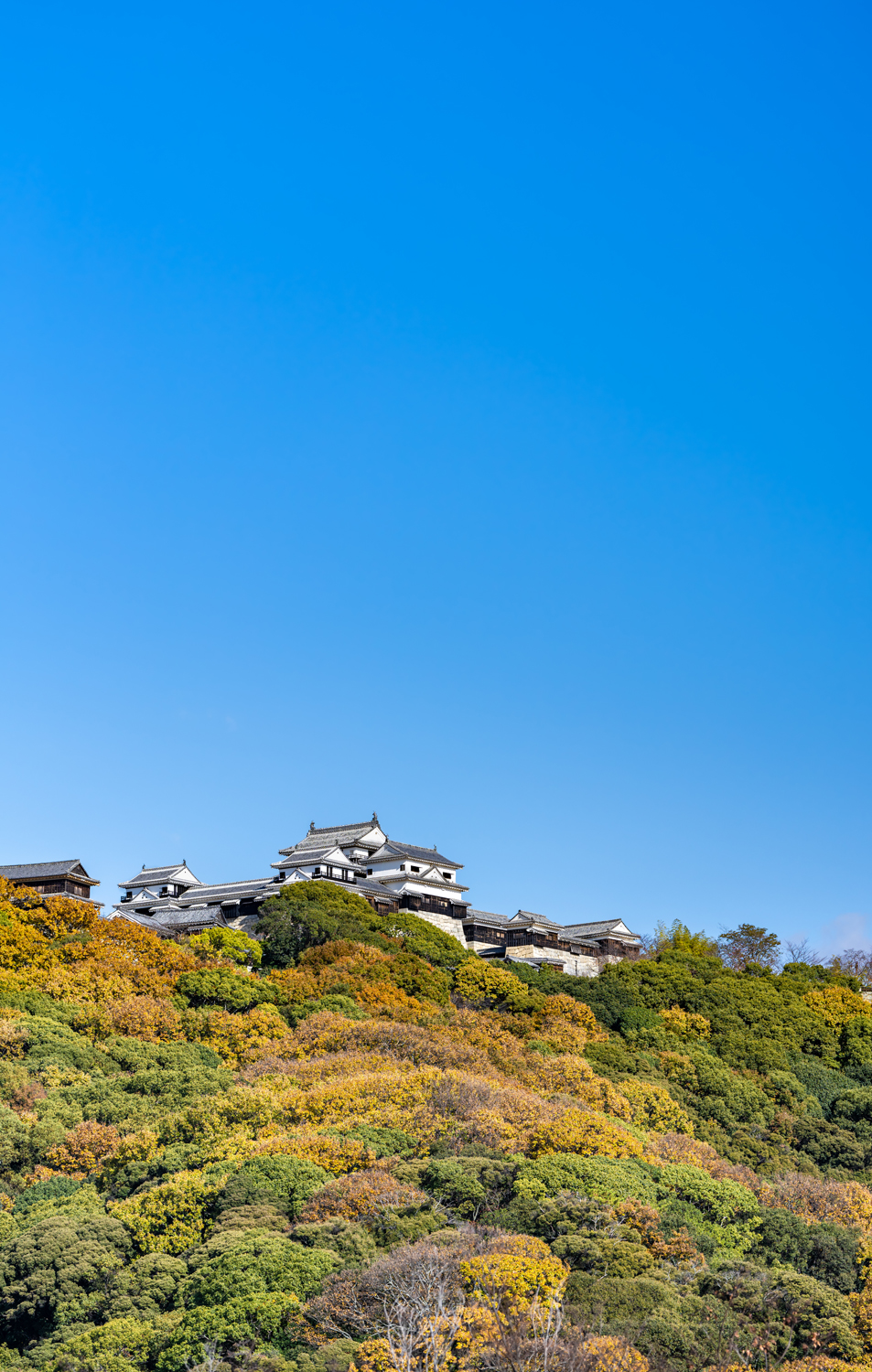 青空と松山城 / Blue sky and Matsuyama Castle