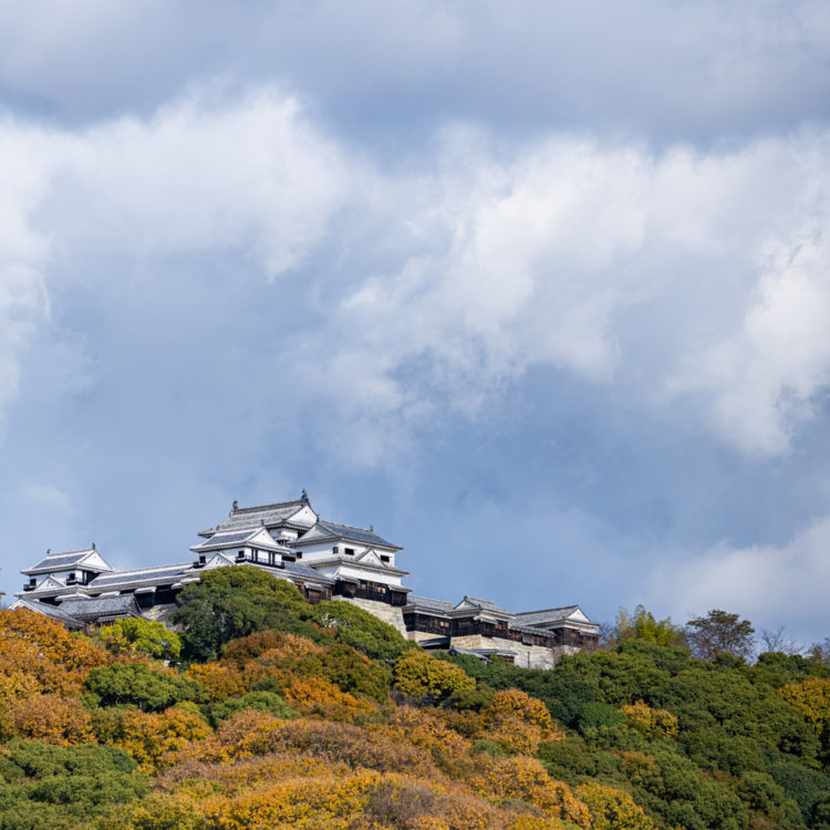 曇り空と松山城 / Cloudy sky and Matsuyama Castle