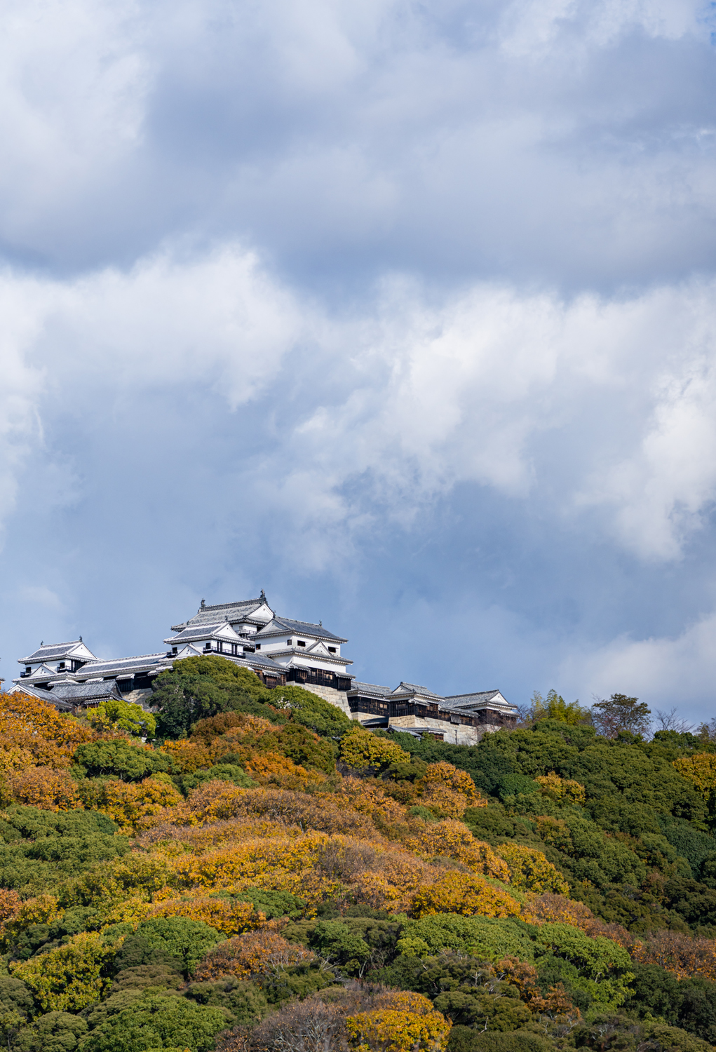 曇り空と松山城 / Cloudy sky and Matsuyama Castle