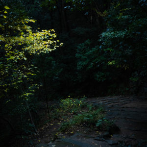 薄暗がりに光<L>