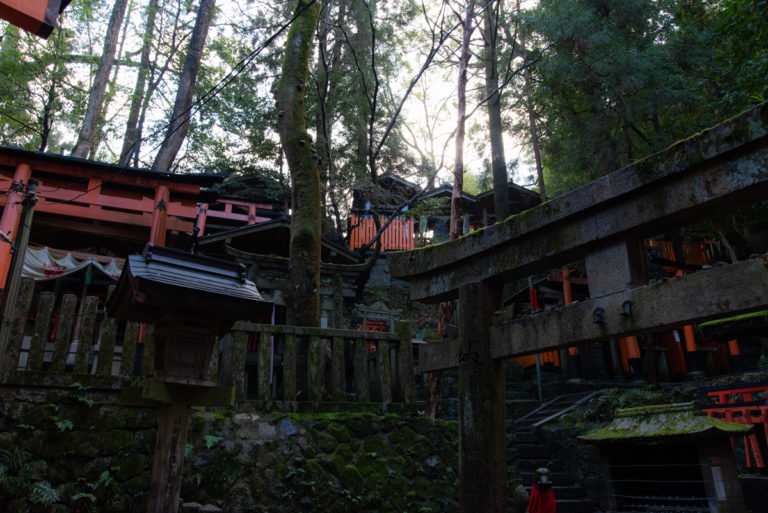 伏見稲荷で迎える夜明け