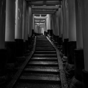 雨上がりの千本鳥居＜XXL＞