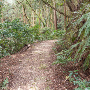 ちょっとでこぼこした道を進む / A bit of a bumpy road ahead＜L＞