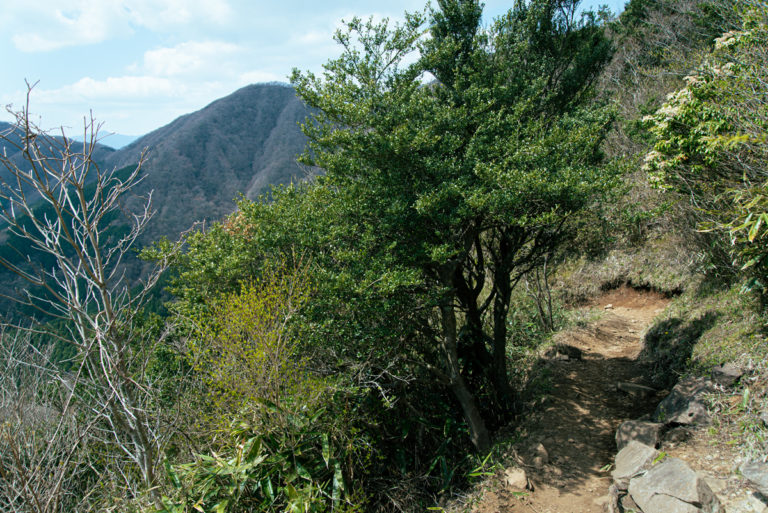 金時山下山中に見た登山道 / Trail seen during descent of Mt.Kintoki