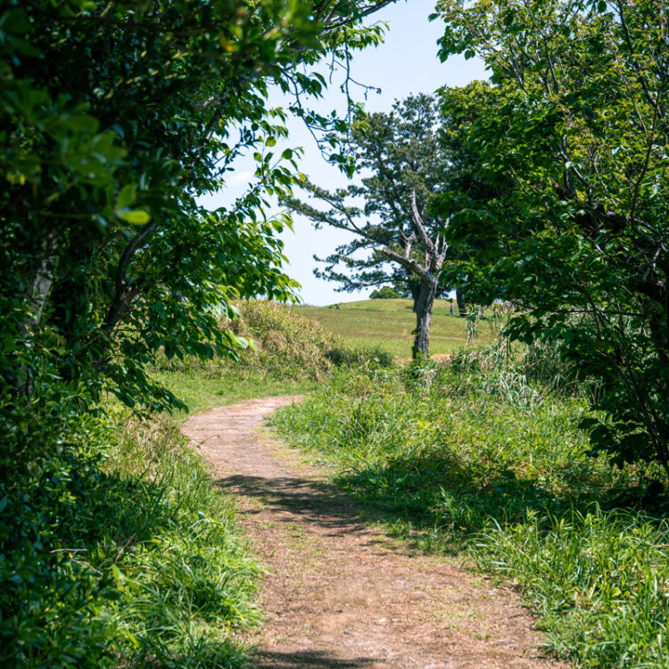 丘のある散歩道 / Walking path with hills