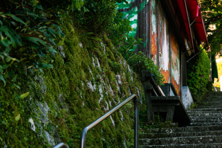 熊野那智大社へ向かう途中の階段にて / At the stairs on the way to Kumano Nachi-taisha Shrine
