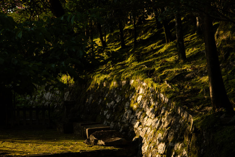 朝日に照らされる石垣 / Stone wall illuminated by the morning sun