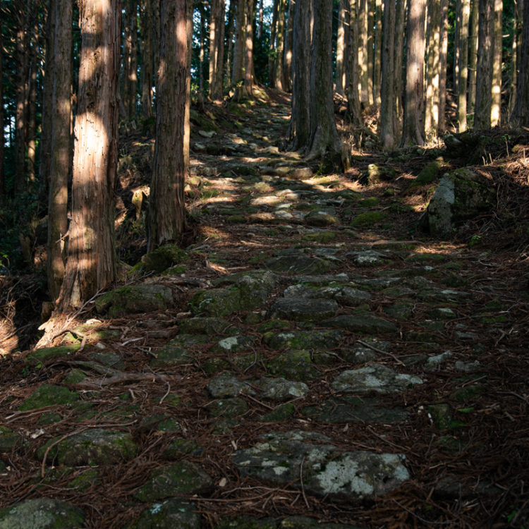 熊野古道の朝 / Morning on the Kumano Kodo