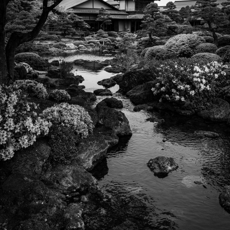 由志園の日本庭園 / Japanese Garden in Yushien