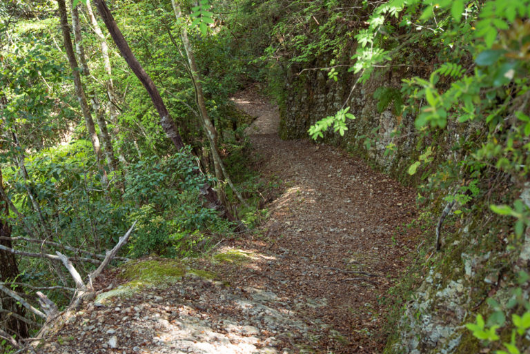 岩の上にできた山道 / Mountain paths formed on rocks