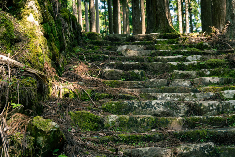 熊野古道の苔生した石段 / Moss-covered stone steps of Kumano Kodo